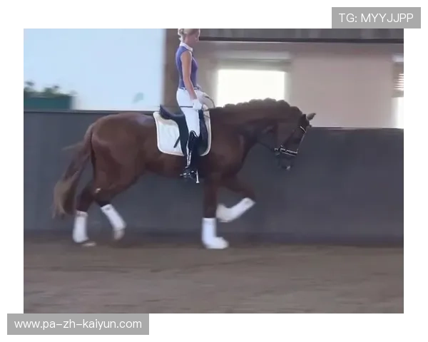 比利时骑手拉里萨·保利斯在2024年巴黎奥运会盛装舞步比赛中以“Luna”马匹获得第七名，展现出色表现。